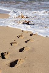 Children's footprints on the beach
